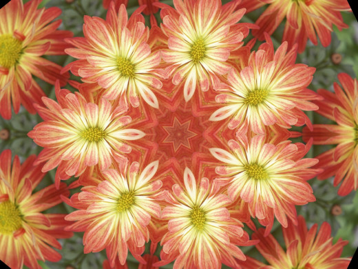 434638 (a): :2400x1800